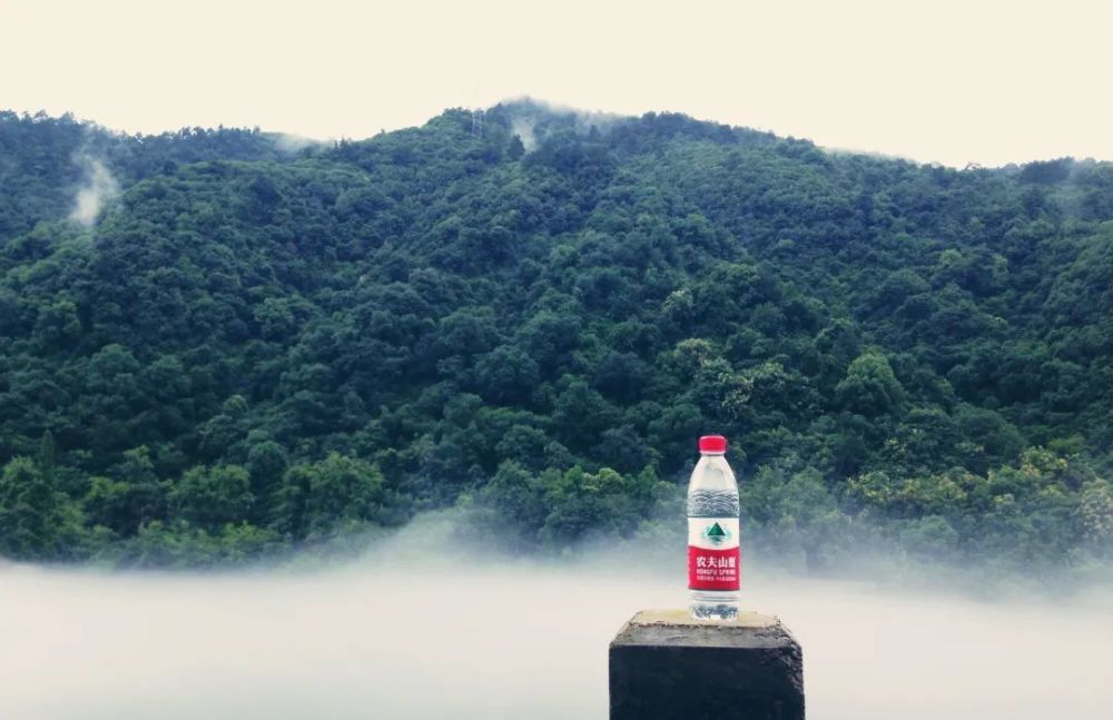农夫山泉