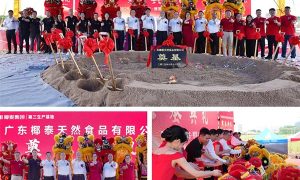 椰泰饮料第三生产基地奠基典礼