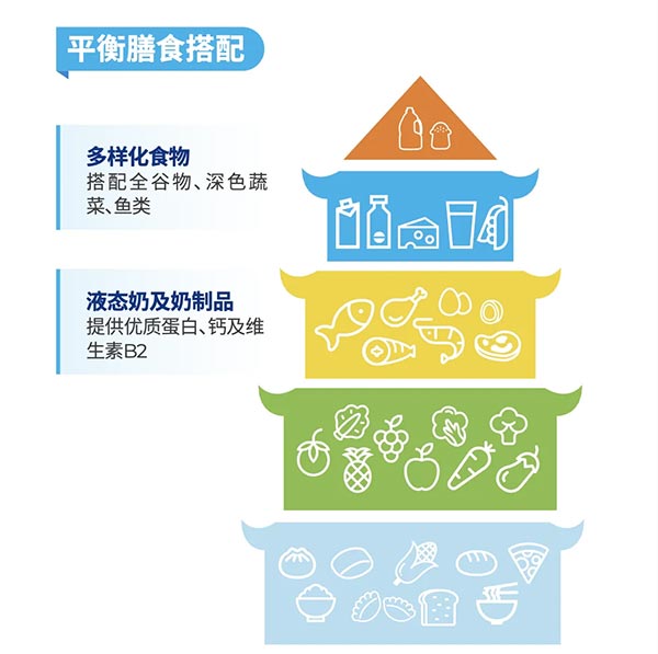 平衡膳食搭配