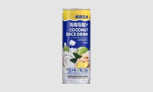 海南岛牌生姜椰汁
